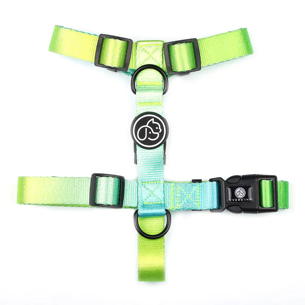 Pet Leash for Small and Medium Dogs