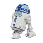 Star Wars Vintage R2-D2 Figure