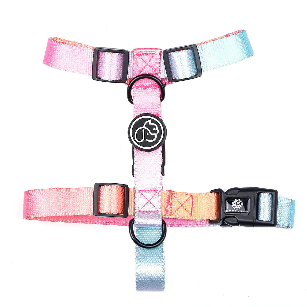 Pet Leash for Small and Medium Dogs