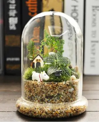 Glass Flower Container