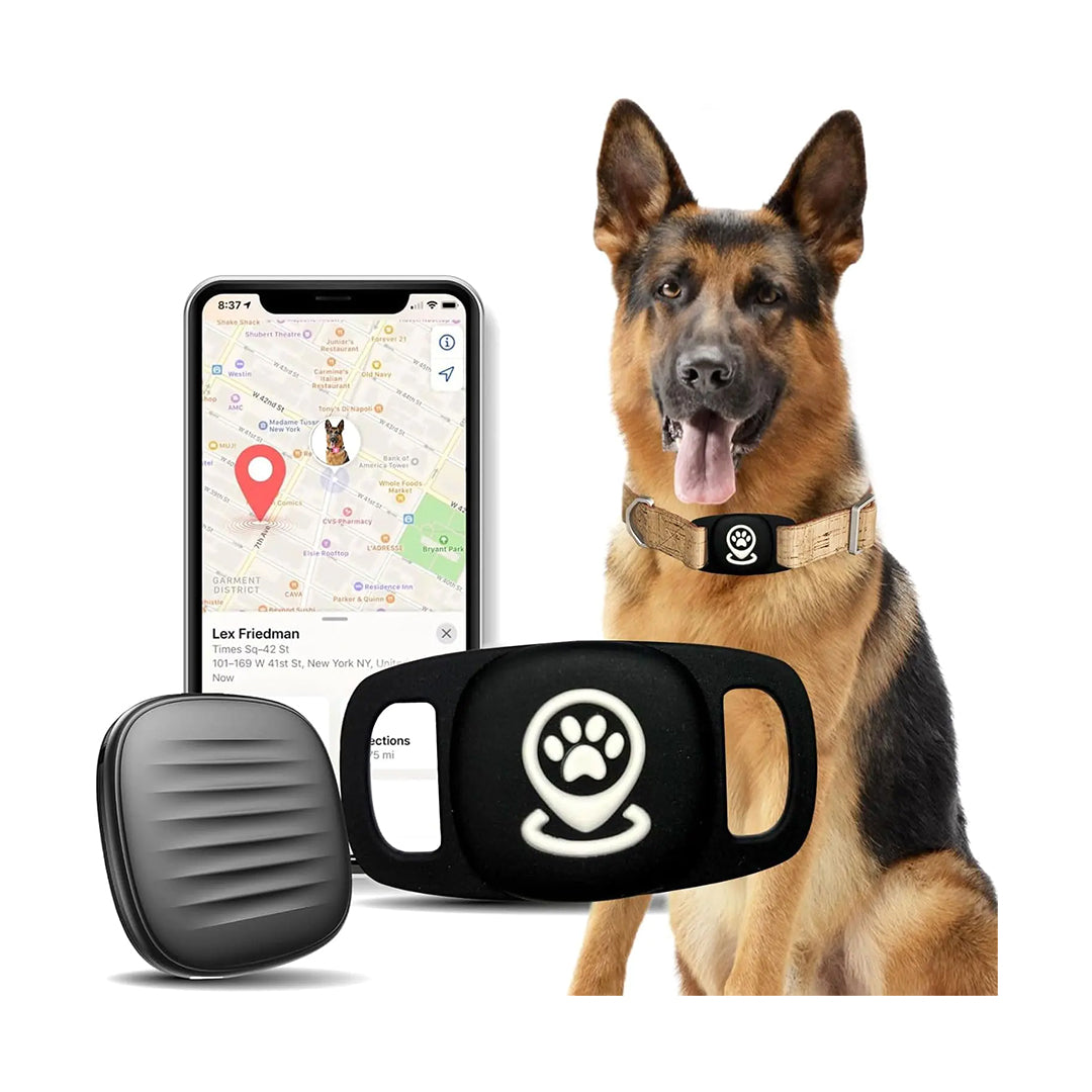 Pet Tracker for Dog