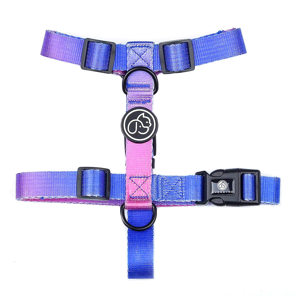 Pet Leash for Small and Medium Dogs
