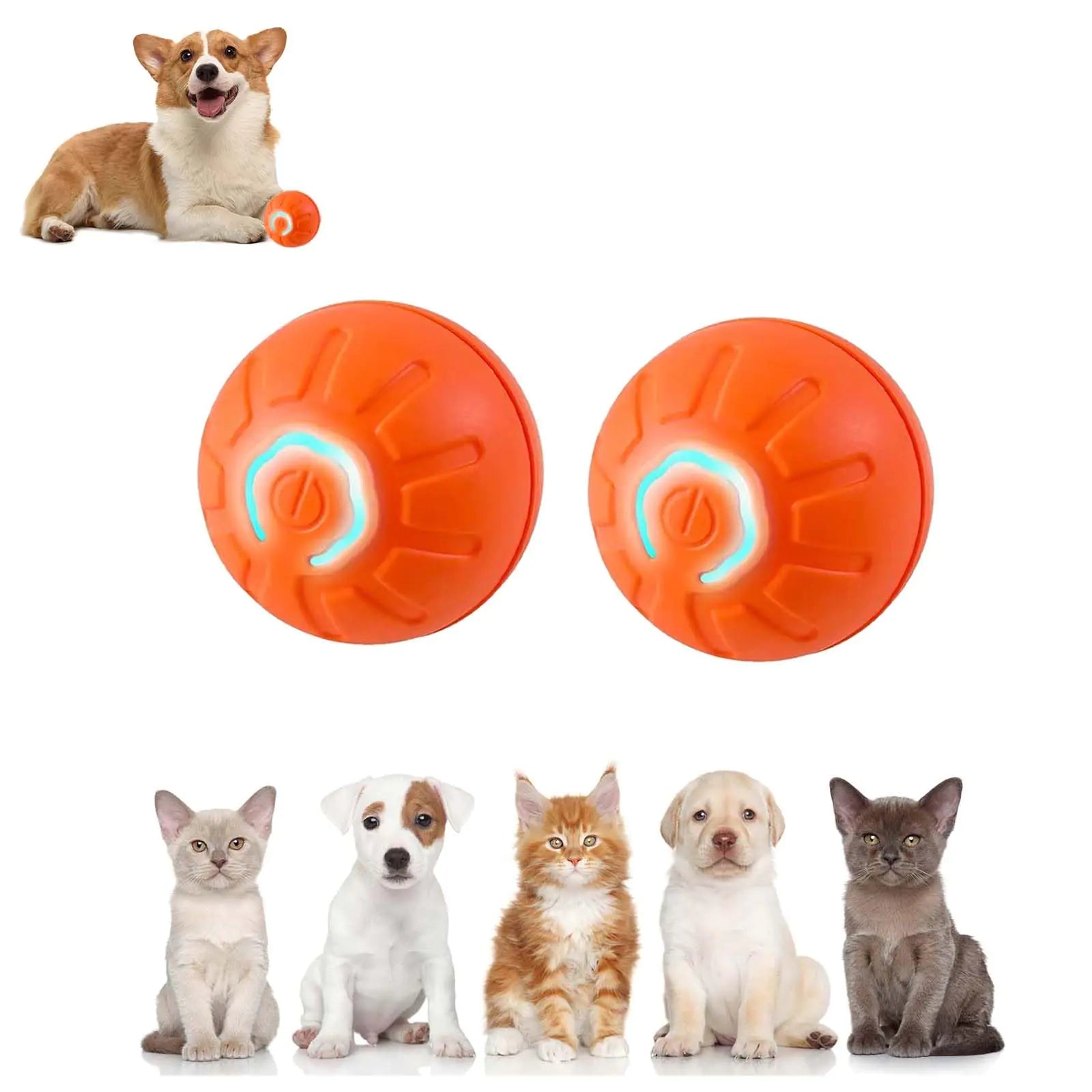 Shaky Ball Toy for Dogs