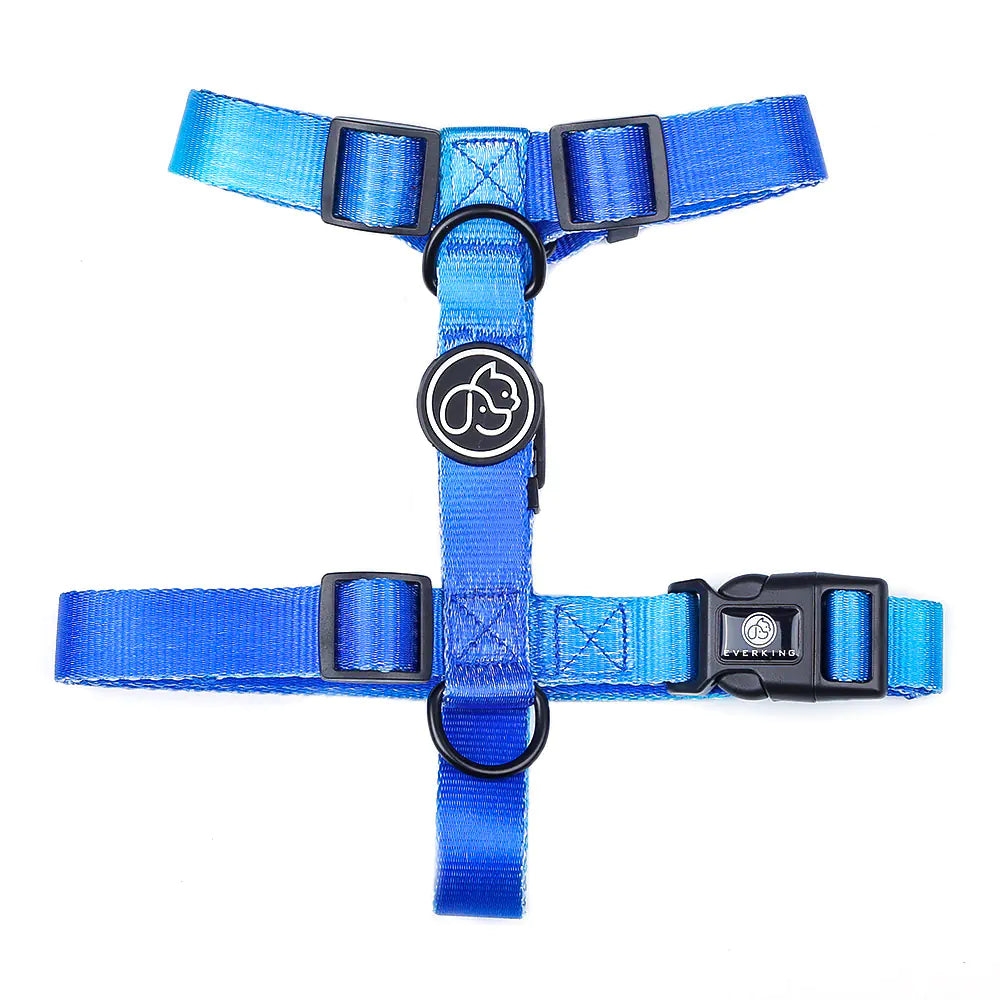 Pet Leash for Small and Medium Dogs